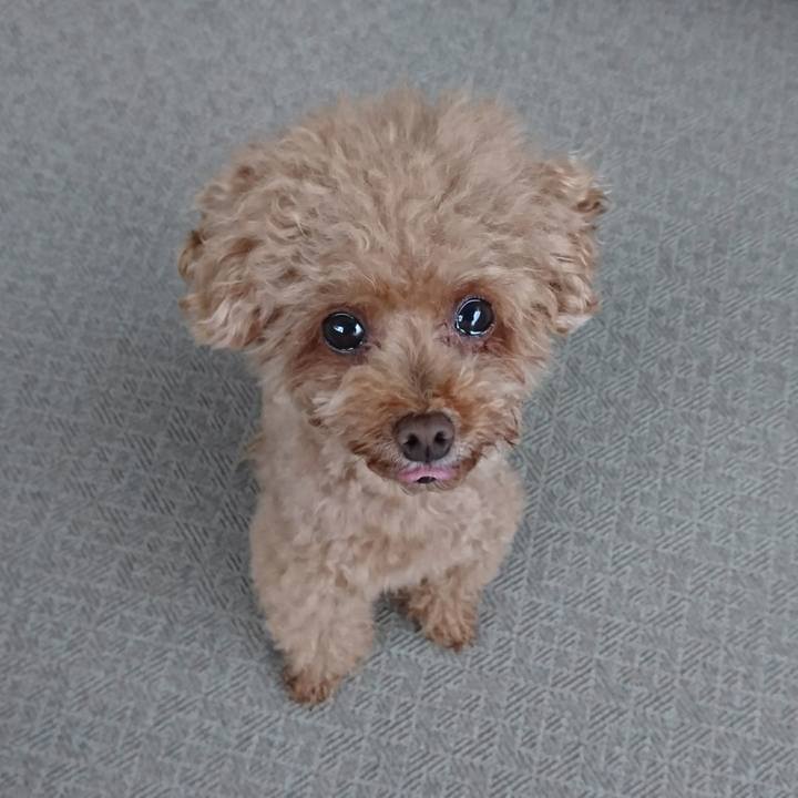 Acf61b6c c312 4026 85bd 58d959198dd2