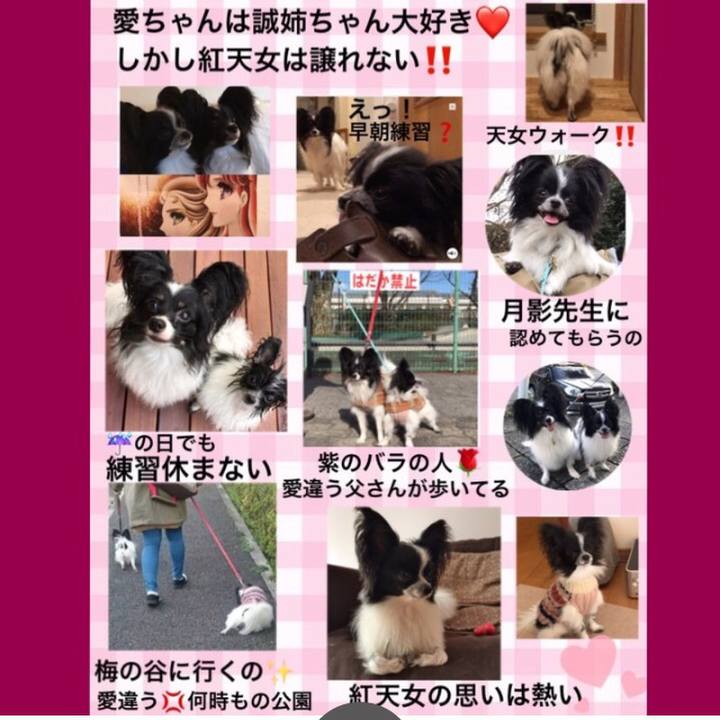 Acf64c46 a7fc 4ef3 afce e7284d460949