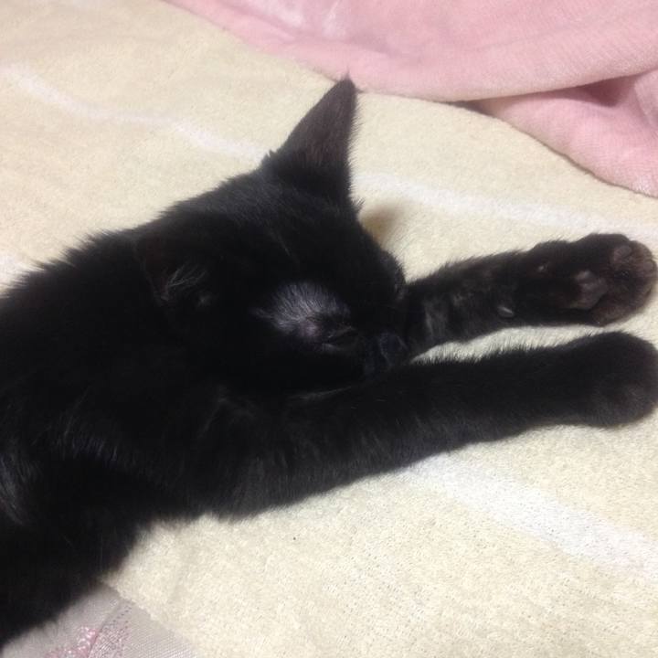 Acf67c68 0c6d 413a a4d2 d5ce29ae2224