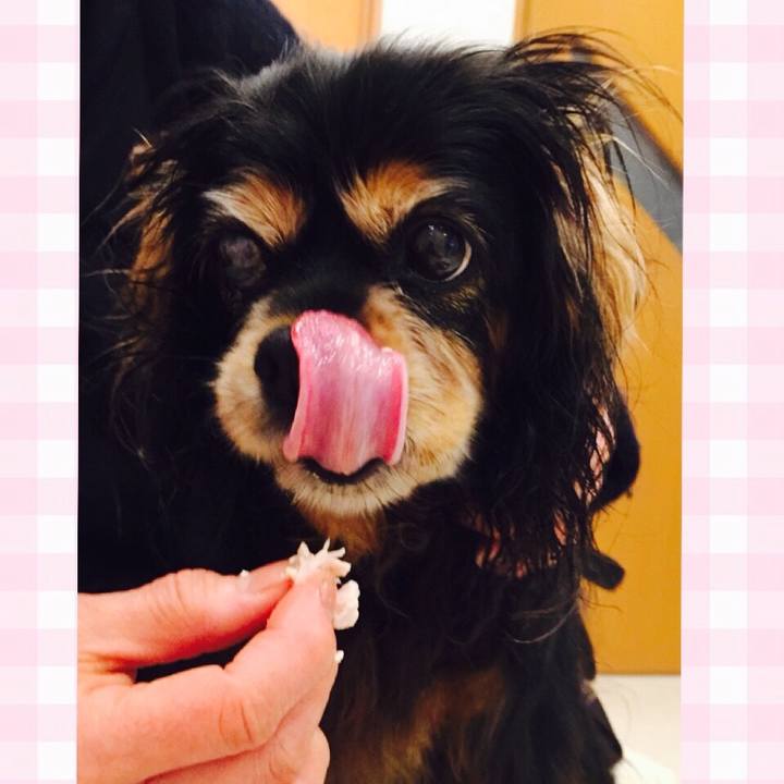 Acf76562 bbf3 4e2a 9886 8c6ccca80bc5