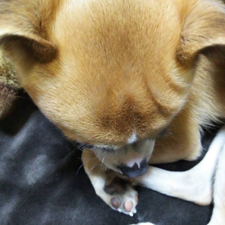 Acf786c0 ac0c 4c64 94bf 320f6e37828a