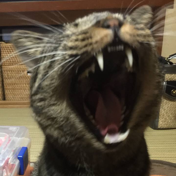 Acf7a8e7 4c45 4e39 835b ee8bf604035b