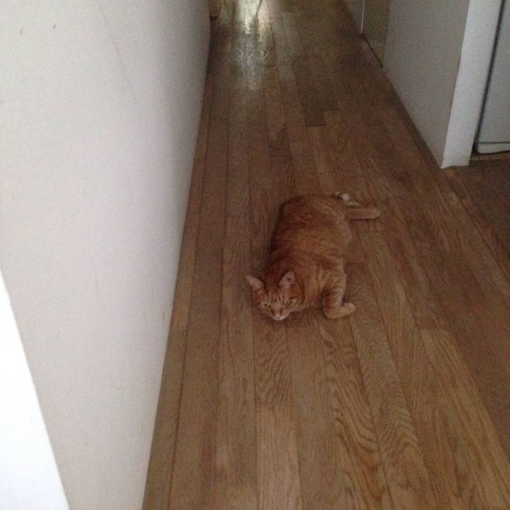 Acf7ab66 cf34 41ff 9c5d 089f446e4abf