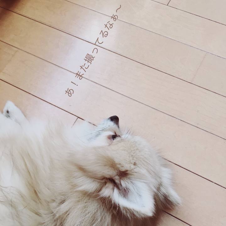 Acf89395 12be 4a9f 8252 769fc82e1d3c