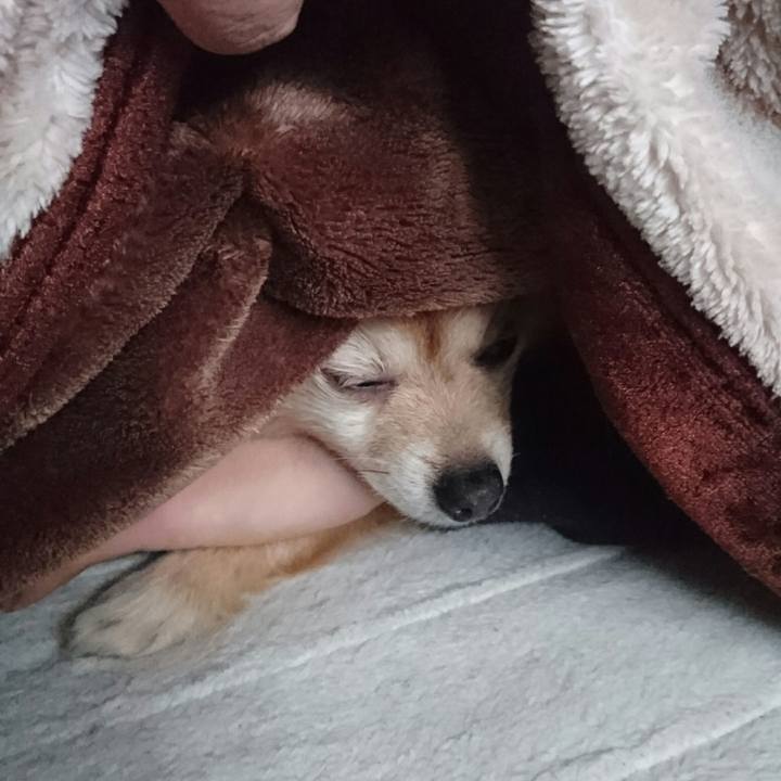 Acf9179a 0af8 4077 83ed 3b2ac3b69bf7