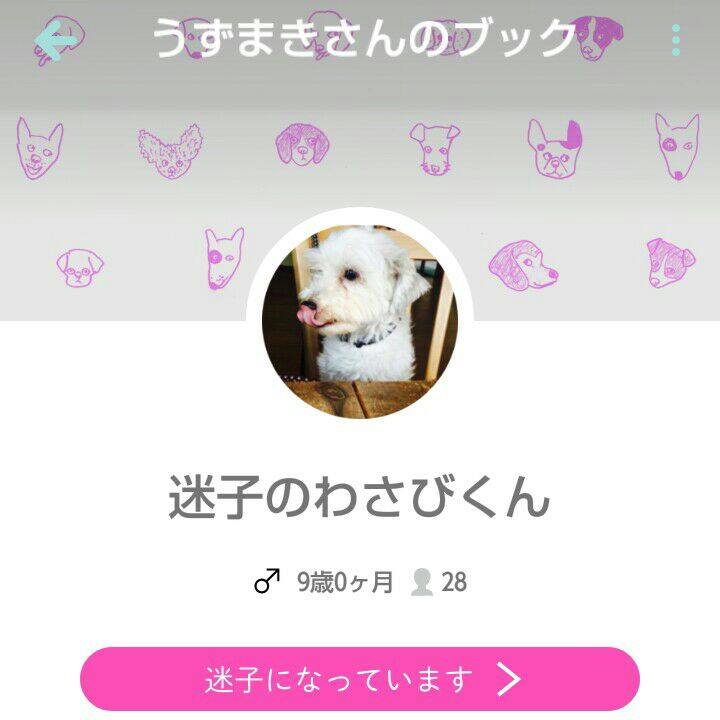 Acf92ab9 462d 46aa 8859 4f3ccfee7d6f