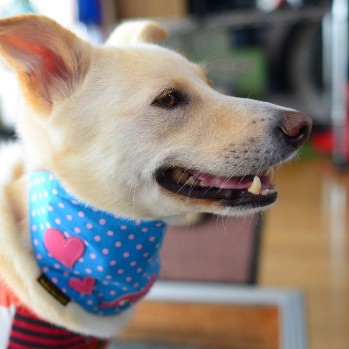 Acf9899d 35b2 4b8e ac1f 2b3522050352