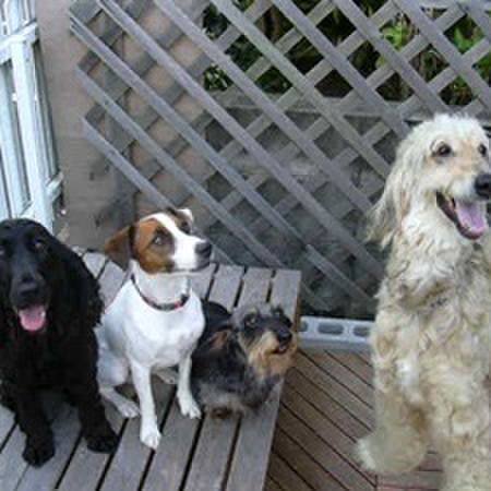 Acf9c58f 4c68 4659 b10f c06ae52026f6