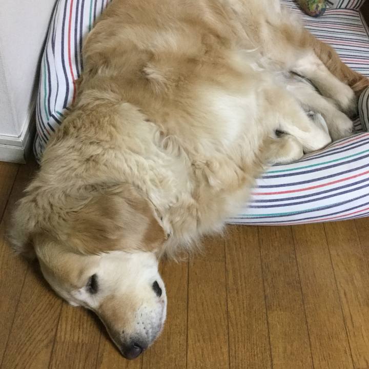 Acf9d1a9 13aa 464f b7cb 867dbe867c16