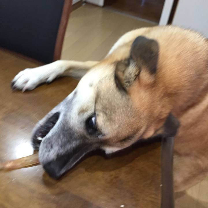 Acf9e30d d8f0 4a65 9ef7 514616df2d7e