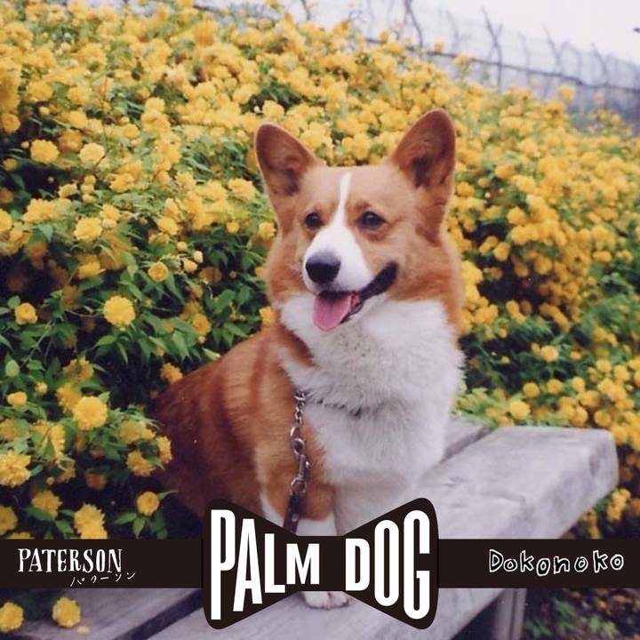 Acf9f005 bd1f 4949 9d9e b03240866f2a