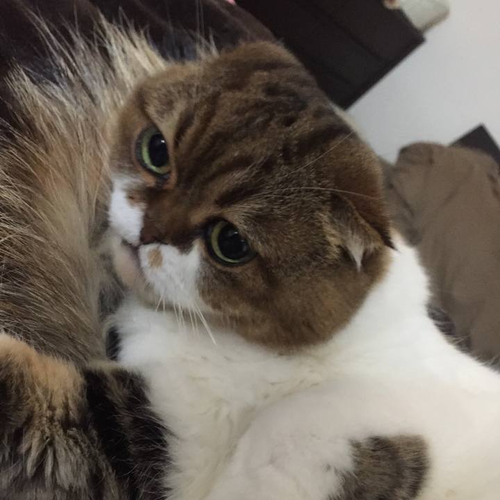 Acfa069d c2ac 4984 887e 166619718fd3