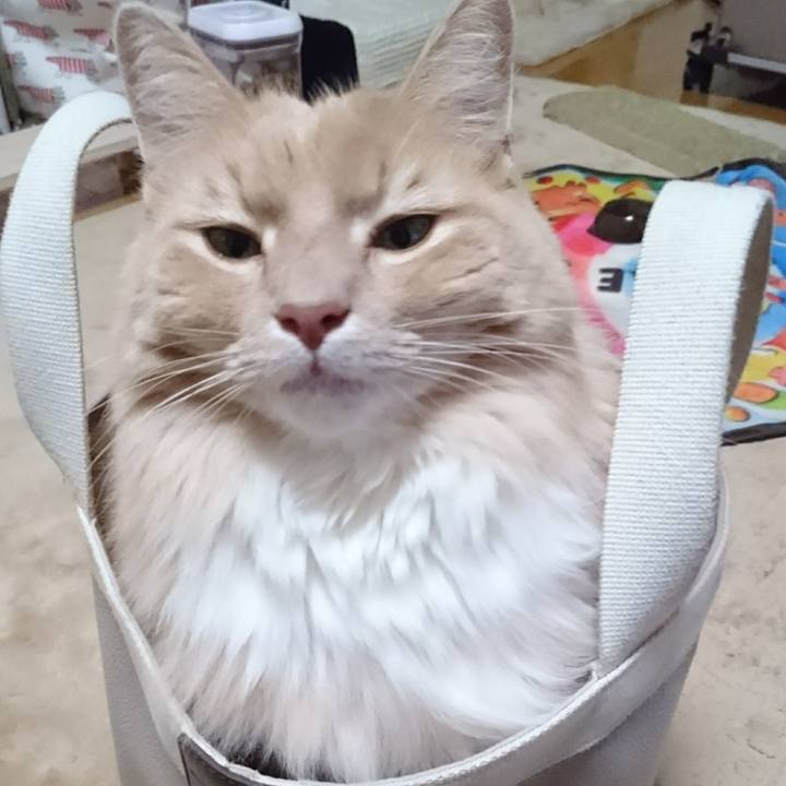 Acfaa6d0 0fb7 4a95 9117 958664380e33