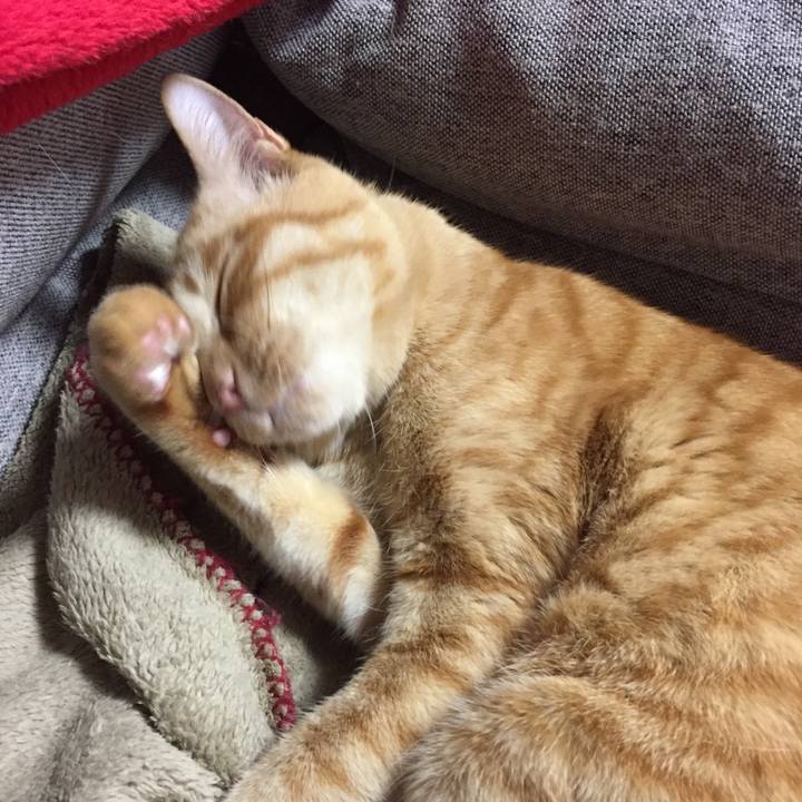 Acfae694 e544 4600 9571 15a6a5368b4d