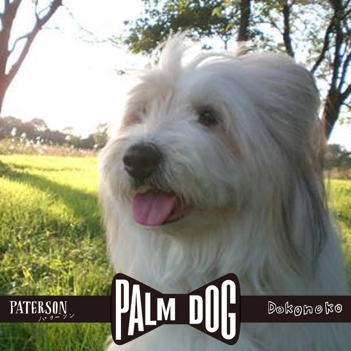 Acfafb34 b183 4e60 a0ce 7d7f8feb4946