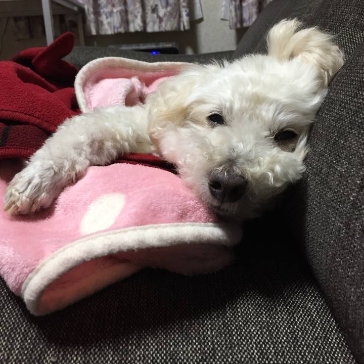 Acfb5d05 4d66 428f a404 2d98579900d6