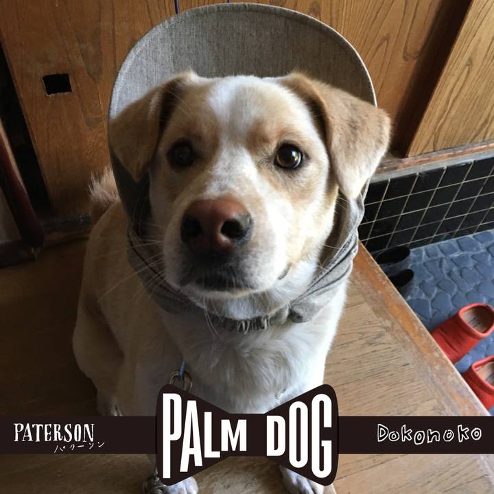 Acfbb276 bc51 4e95 a656 9a9ec6d4935a