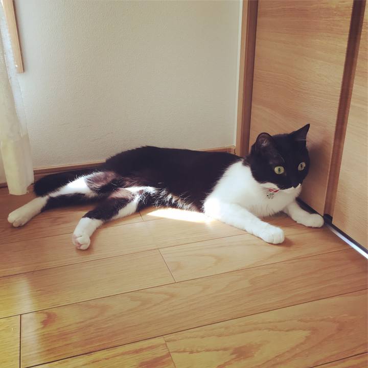 Acfc2e44 89b1 4645 b500 a63a9ddfa4ce