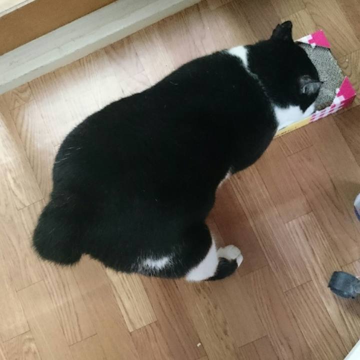 Acfc330d 37e6 4d94 93c0 fb89dadb868f