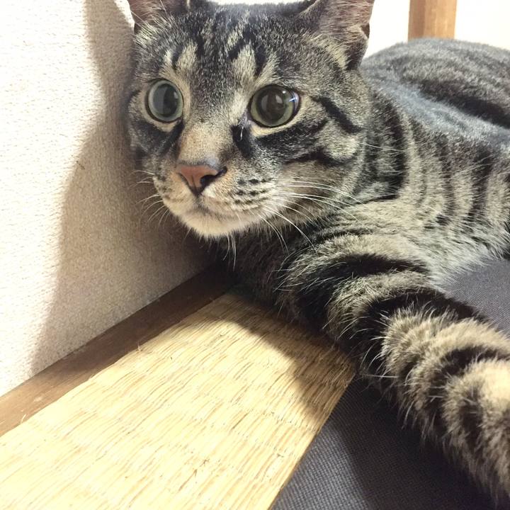 Acfc5184 4e80 4b6a bb5a 3f86beea0602