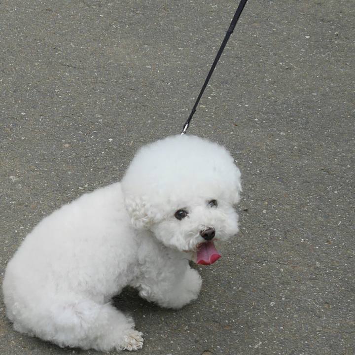 Acfd8daa c9c5 4043 9c1c 1da8dfd8a666