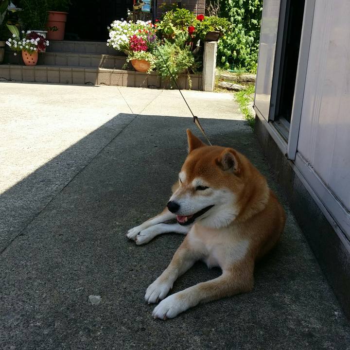 Acff3c93 8270 4643 9364 563c86a0a969