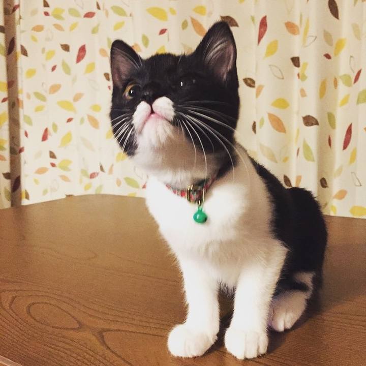 Acff5ce9 6bfa 418d af5d 938ea0ede2c7