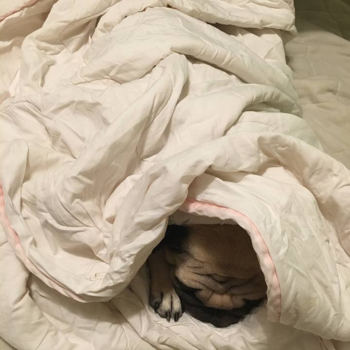 Acff8618 0fa2 49be 987d e83f14cb4688