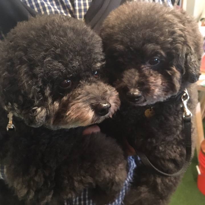 Acffd281 0dae 4075 b068 97a28506af30