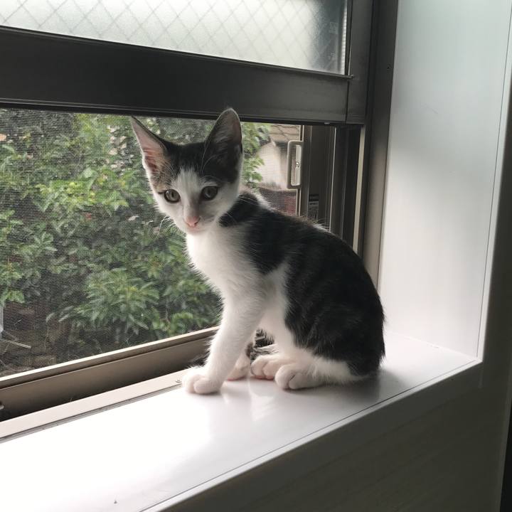 Acffd2ce 3904 4af3 bf65 dc9c74a43393