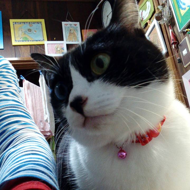 Ad001721 9428 4e0f 992f 92cd61819b3e