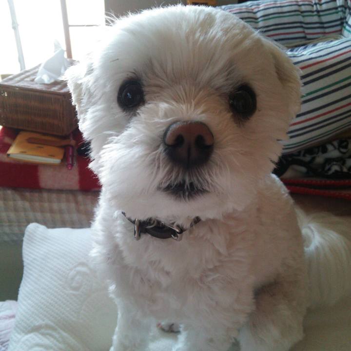 Ad004fe9 0dd3 414f b6ae a49c2dde5925