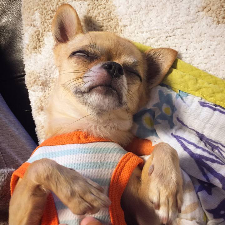 Ad0062e5 2485 41b7 ac3c cc968616da74