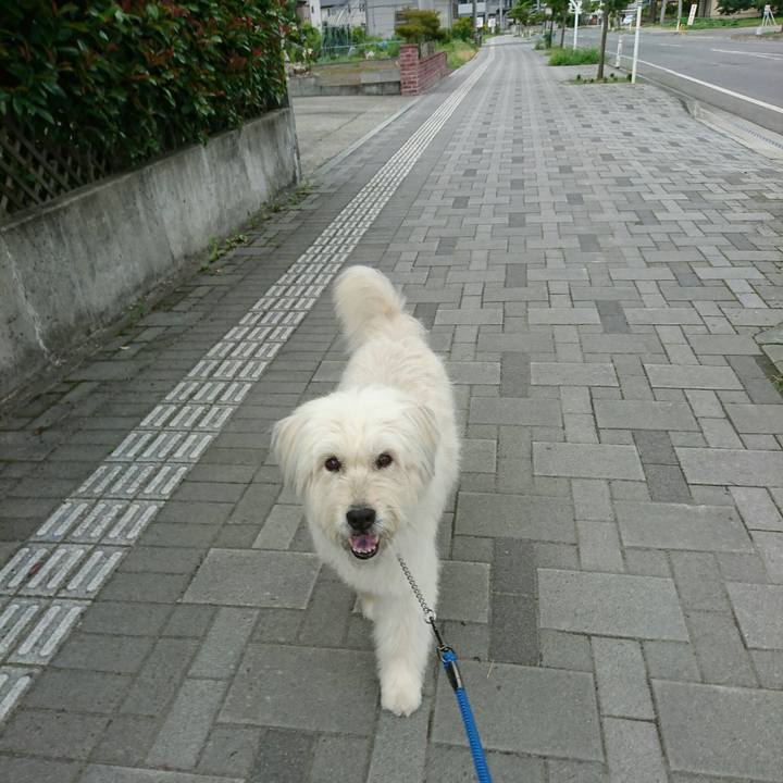 Ad00a021 f716 461f aca6 50a6179d46fd