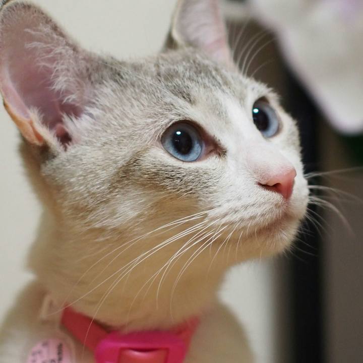 Ad02078b 7a7d 4383 be23 1ddb94c89c15