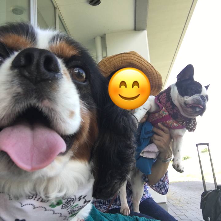 Ad024a36 caae 4ce4 8bff e8e18260b4c9