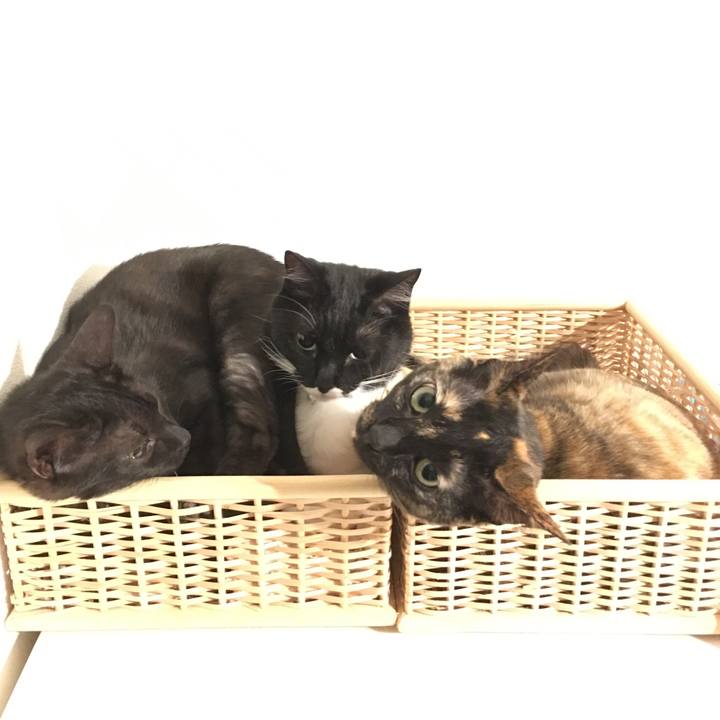 Ad025b28 b8aa 4ed8 83d1 d77b5efcc6ff