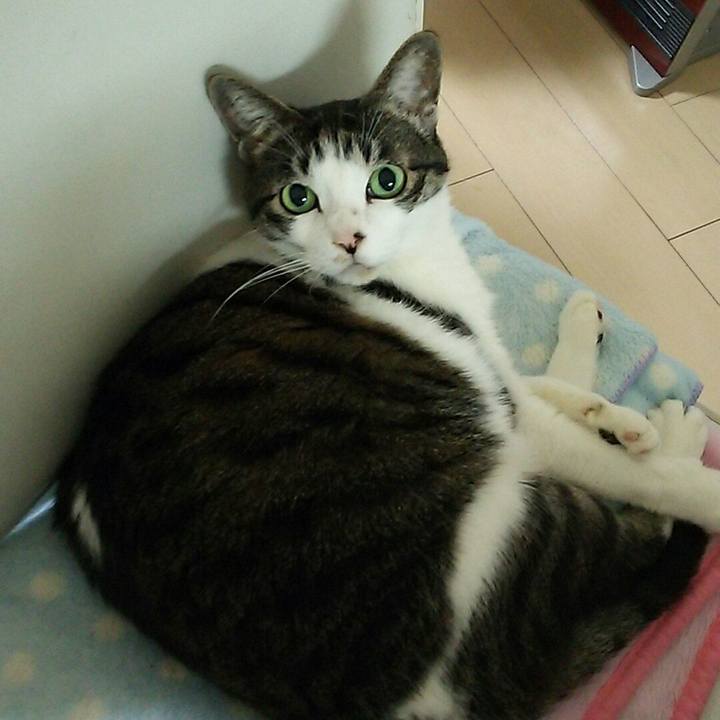 Ad02a79d 4c06 4e77 9363 5e84b8389527