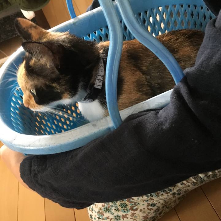 Ad03658d 3d72 4849 9c97 df05330bbf16