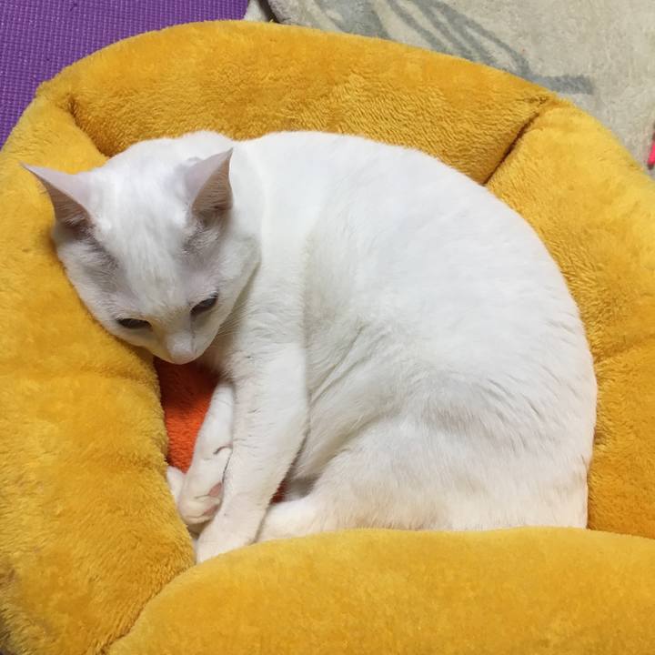 Ad038ef6 51d3 4f03 8985 6fb487decbf9