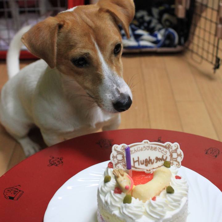 Ad040058 b6a3 4ed9 b6a9 16a1ddfdf849