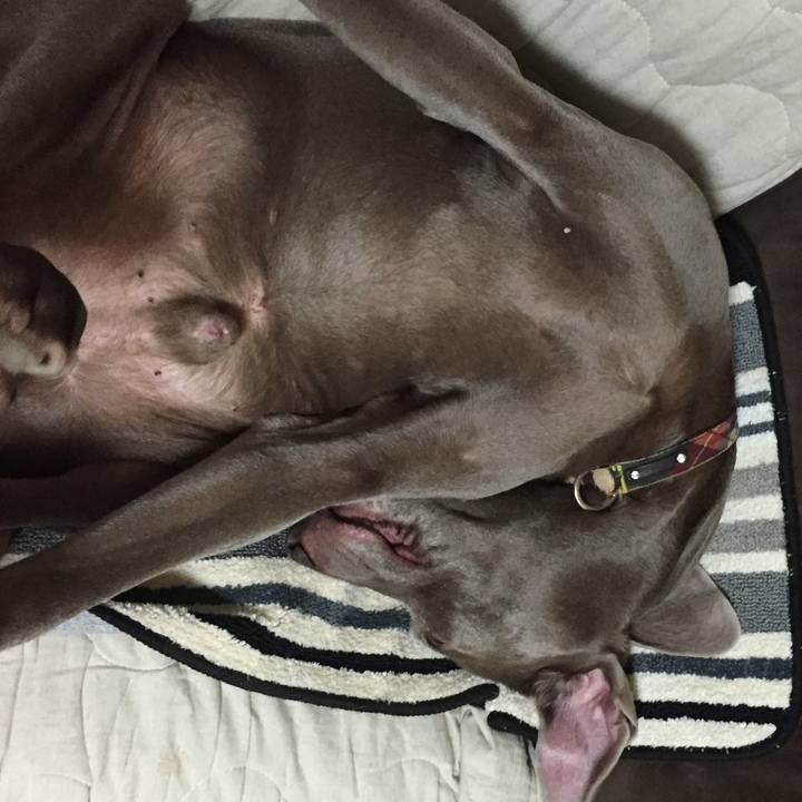 Ad044062 0f5d 4931 bf59 aad9335f758e