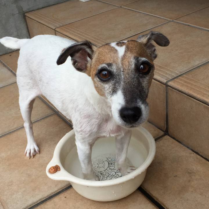 Ad045812 3243 4f21 9346 9256a19d92a6