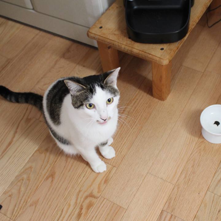 Ad046334 9c8f 4735 a9e5 803c5c15d796