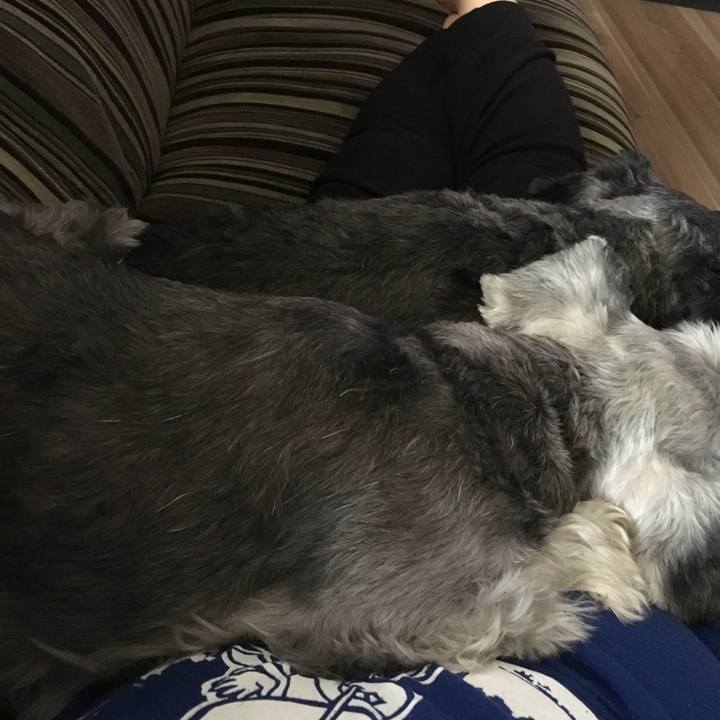 Ad04881a b0cf 4c06 9850 225dfa8d40bd