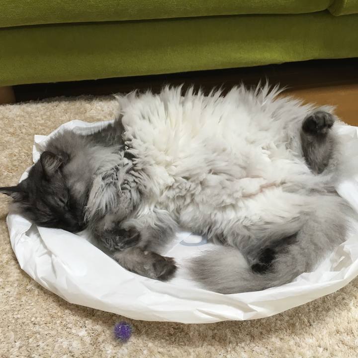 Ad0507e0 978d 415c 84d4 785a65c8e287