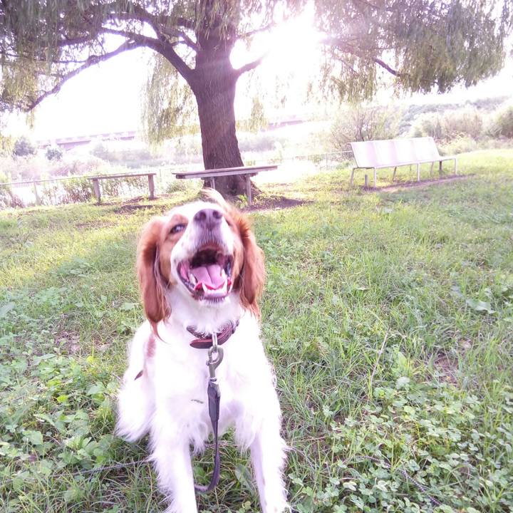 Ad054638 c264 4b32 9e30 c5b5f4d3b6cb