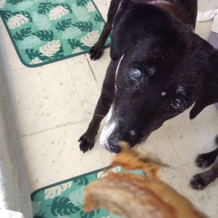 Ad0746e0 81d4 42ed 9047 216f4b911142