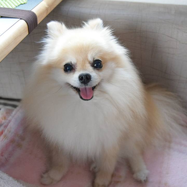 Ad082414 1111 4402 96f1 c213bd803cd7