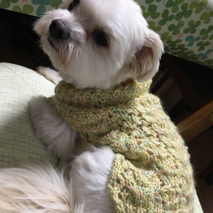 Ad087294 bd1a 42c5 ba55 8ca416bafcd4